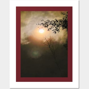 Moonlight - Clouds - Night - Trees Posters and Art